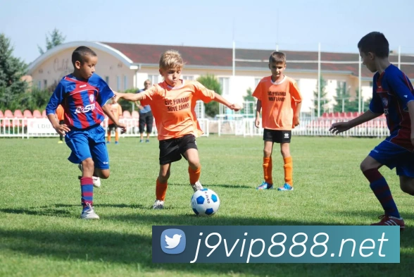 j9九游会国际APP 封面图